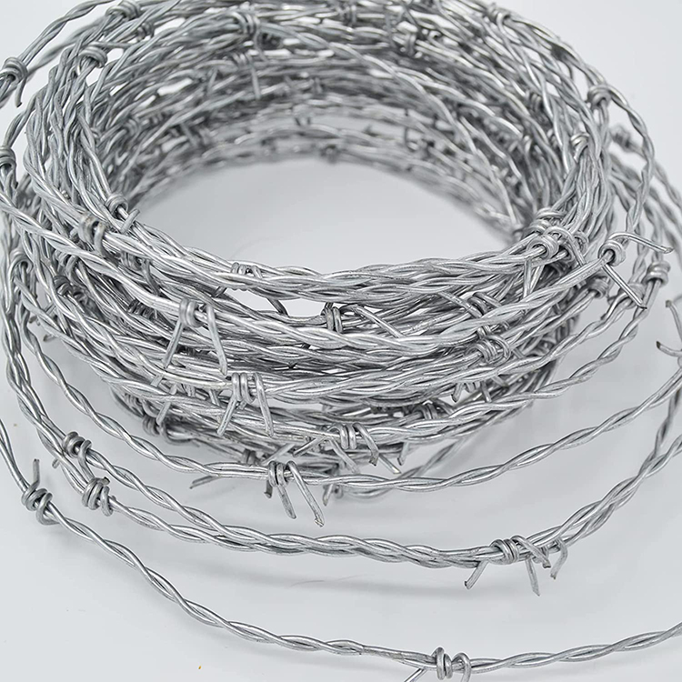 barbed wire (4).jpg